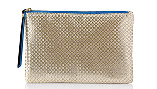 Learn how you can get this chic cosmetic bag free with your color purchase from the limited-edition Runway Bold Collection from Mary Kay.